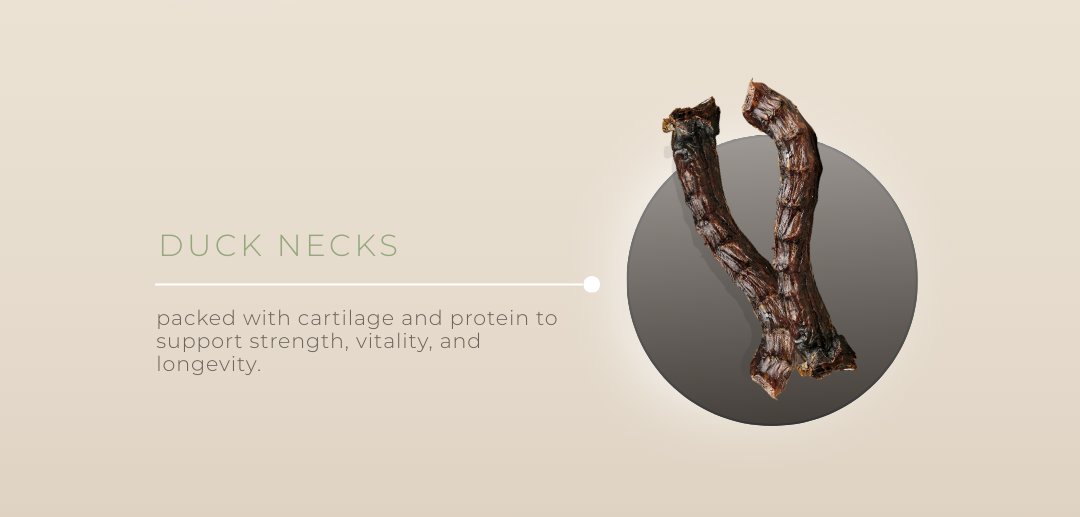 Duck Necks — packed with cartilage and protein to support strength, vitality, and longevity
