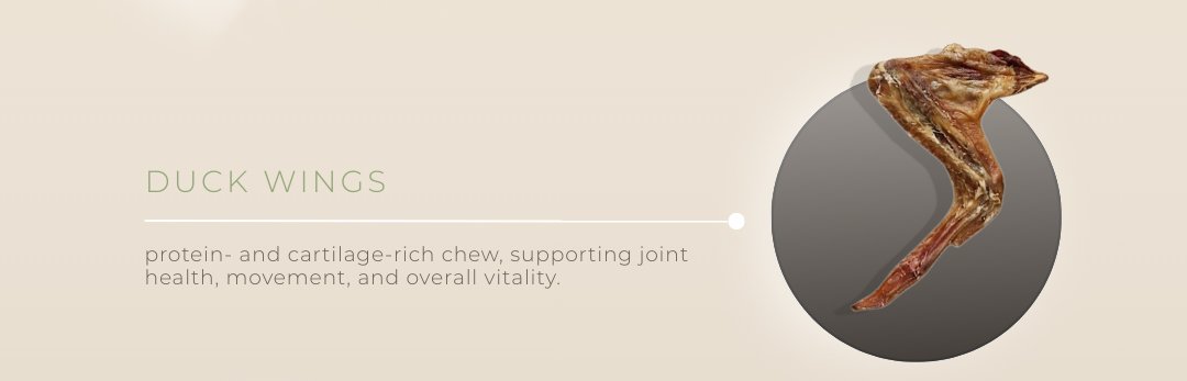 Duck Wings — protein- and cartilage-rich chew, supporting joint health, movement, and overall vitality