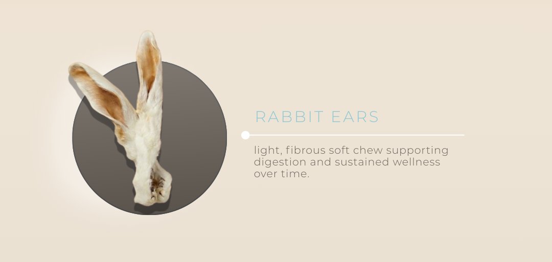rabbit ears — light, fibrous soft chew supporting digestion and sustained wellness
