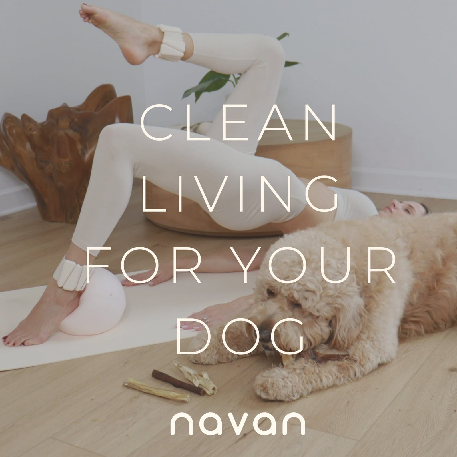 navan collagen sticks product photo