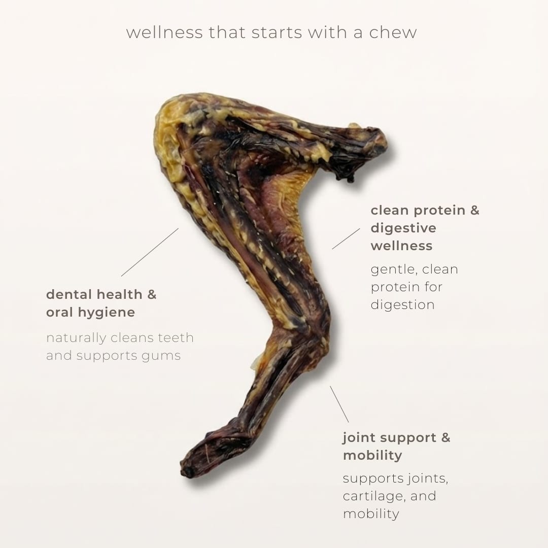 navan duck wing product photo
