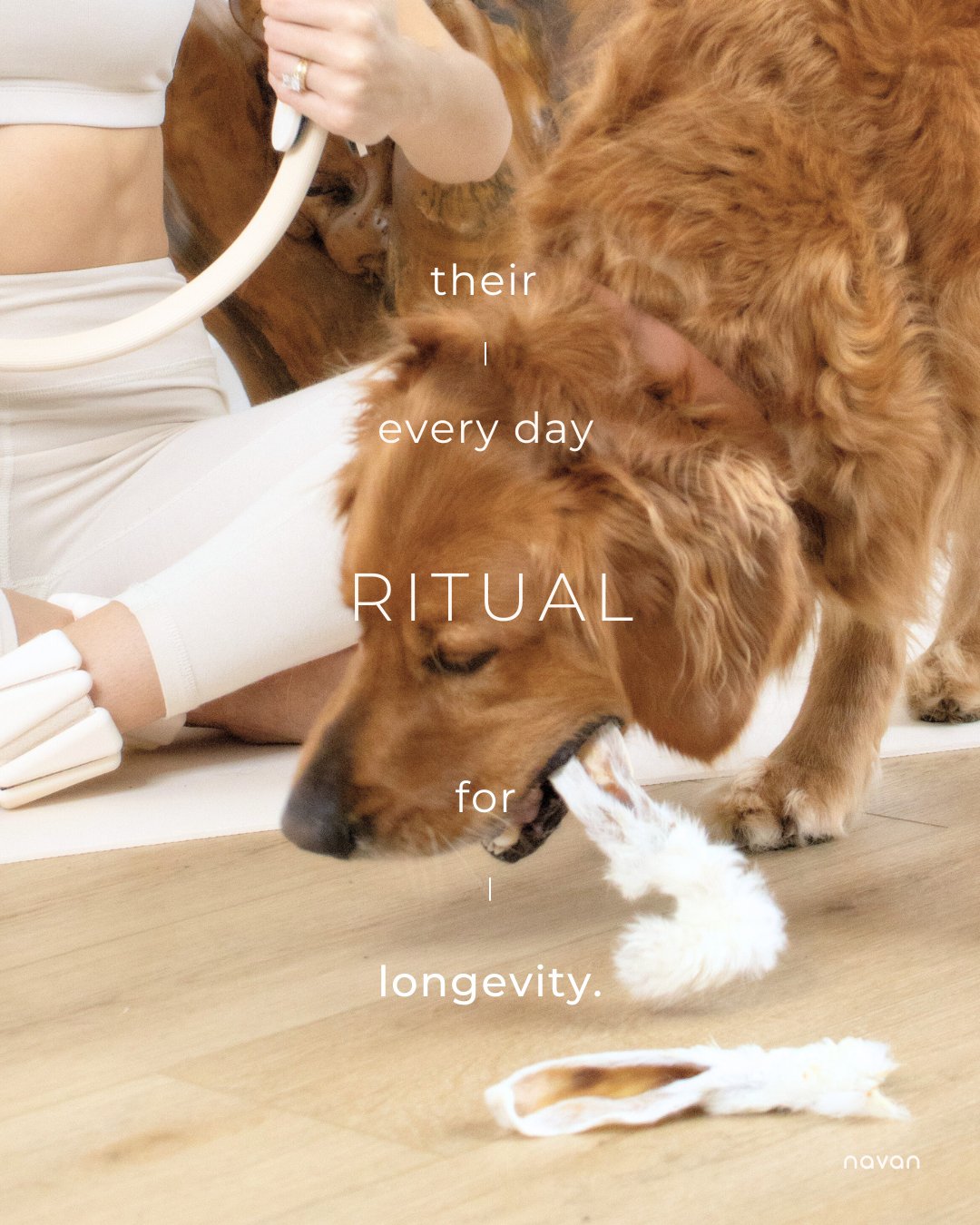 ritual editorial — chew as part of morning routine