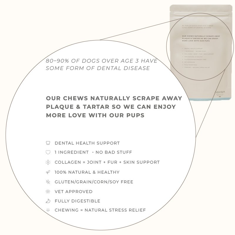 rabbit ears bag back with dental stats graphic — 80–90% of dogs have dental disease