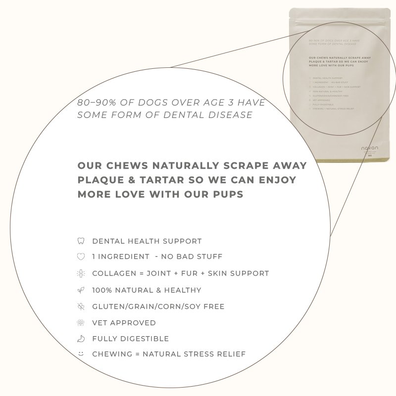 duck neck bag back with dental stats graphic — 80–90% of dogs have dental disease