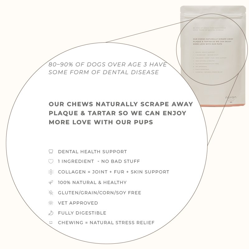 collagen sticks bag back with dental stats graphic — 80–90% of dogs have dental disease