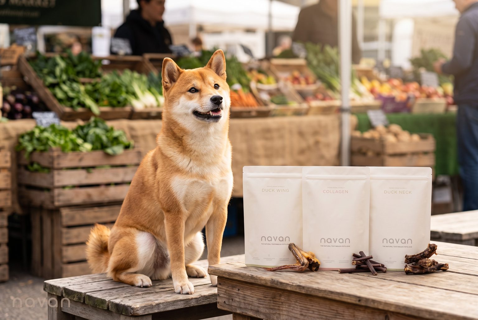 a healthy, alert shiba inu beside navan single-ingredient chews (duck wing, collagen, duck neck) on a rustic wood table at a sunny farmers market