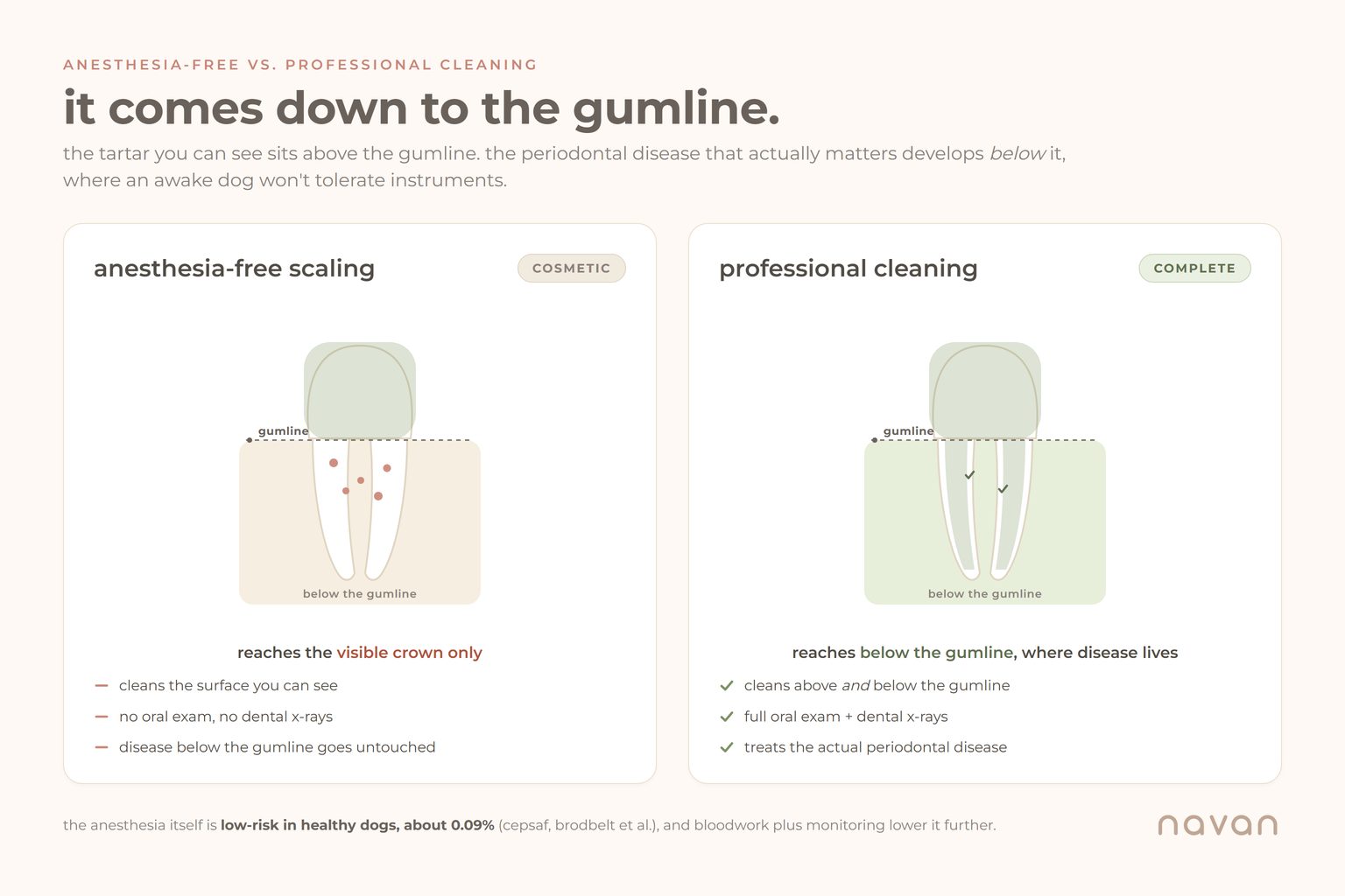 the gumline divides the two methods: anesthesia-free scaling reaches only the visible crown (cosmetic), while a professional cleaning under anesthesia reaches below the gumline where periodontal disease lives, plus a full oral exam and dental x-rays. anesthesia is low-risk in healthy dogs, about 0.09%.