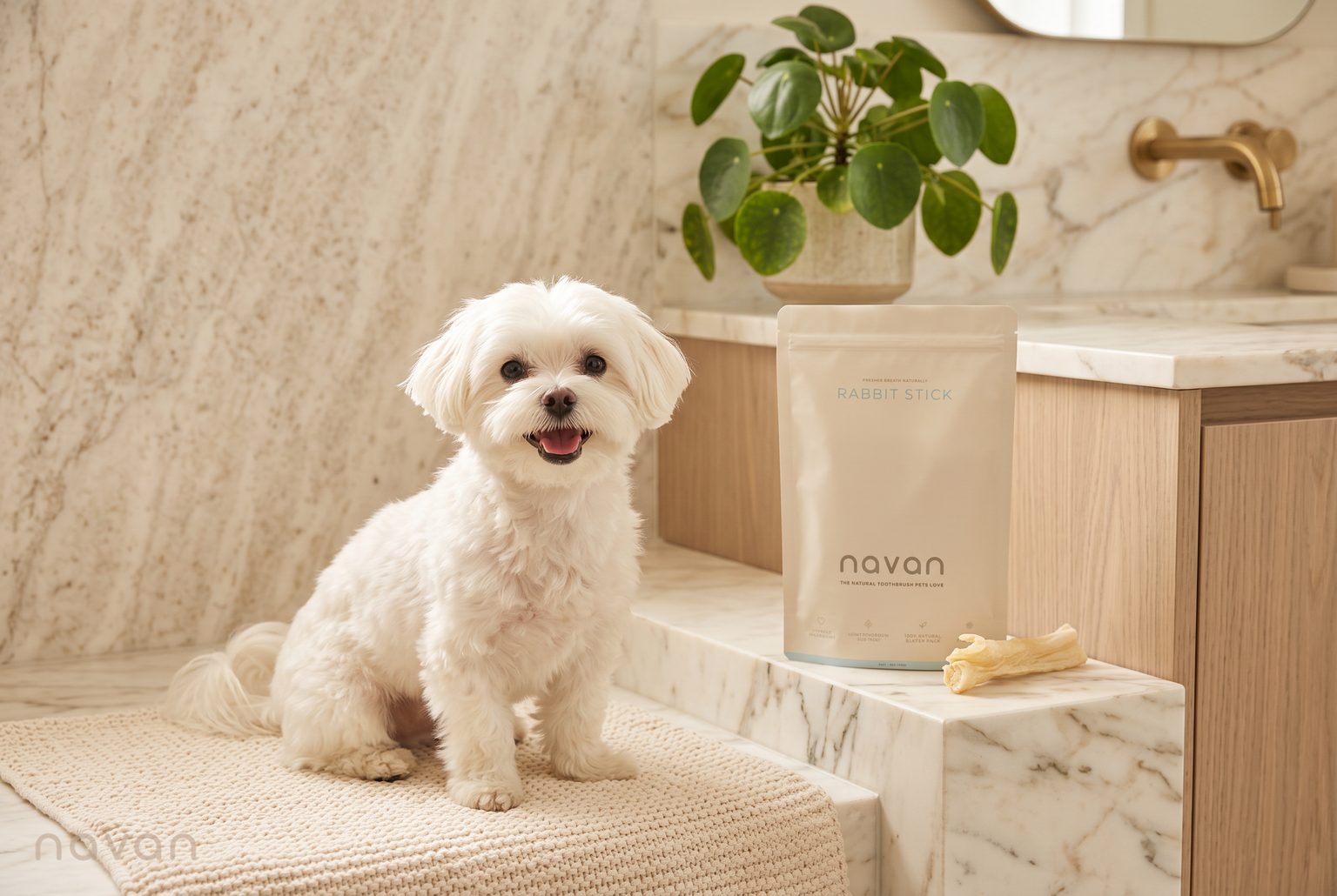 A happy white Maltese sits beside a Navan rabbit stick pouch in a bright, spa-like marble bathroom