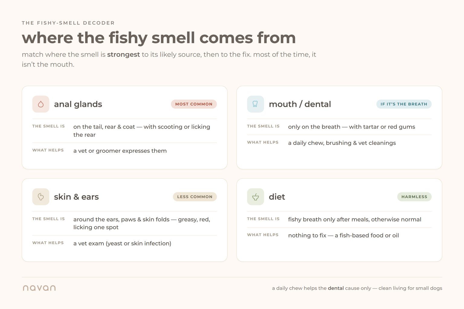 a decoder mapping a dog's fishy smell to its source: anal glands (most common, smell on the tail, rear and coat, expressed by a vet or groomer); mouth or dental (smell on the breath with tartar, helped by a daily chew, brushing and vet cleanings); skin and ears (less common, around ears, paws and skin folds, needs a vet exam); and diet (harmless, fishy breath only after meals).
