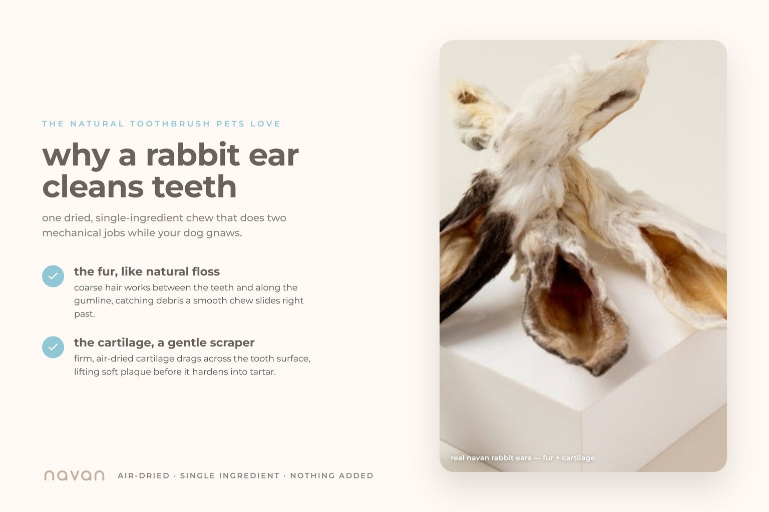 Infographic: how a Navan rabbit ear cleans a dog's teeth — the coarse fur works like natural floss between the teeth and the firm air-dried cartilage scrapes away soft plaque