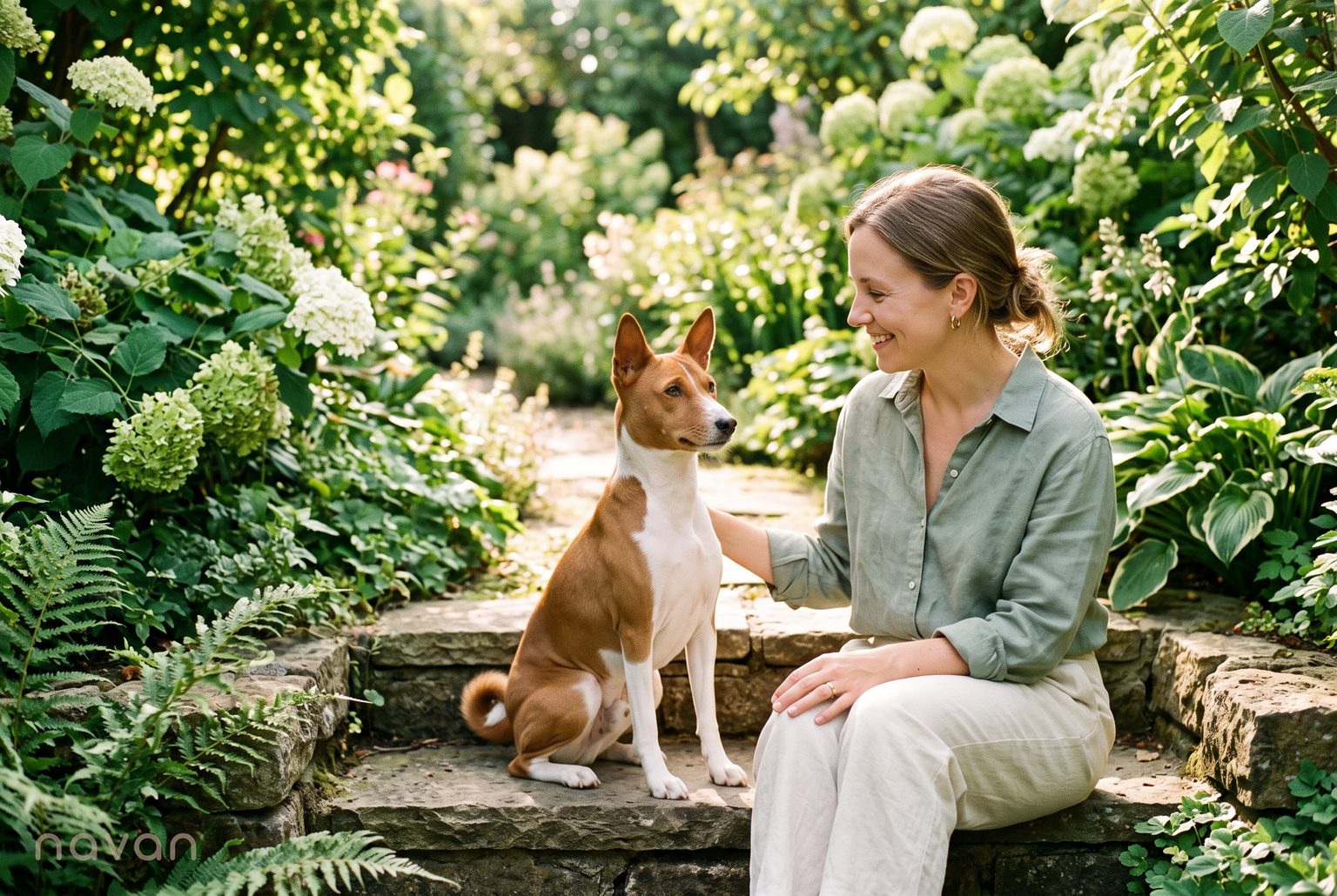 a freshly-groomed, bright-eyed Basenji sitting calmly beside its smiling owner in a sunlit, plant-filled living room, clean and content, not fishy