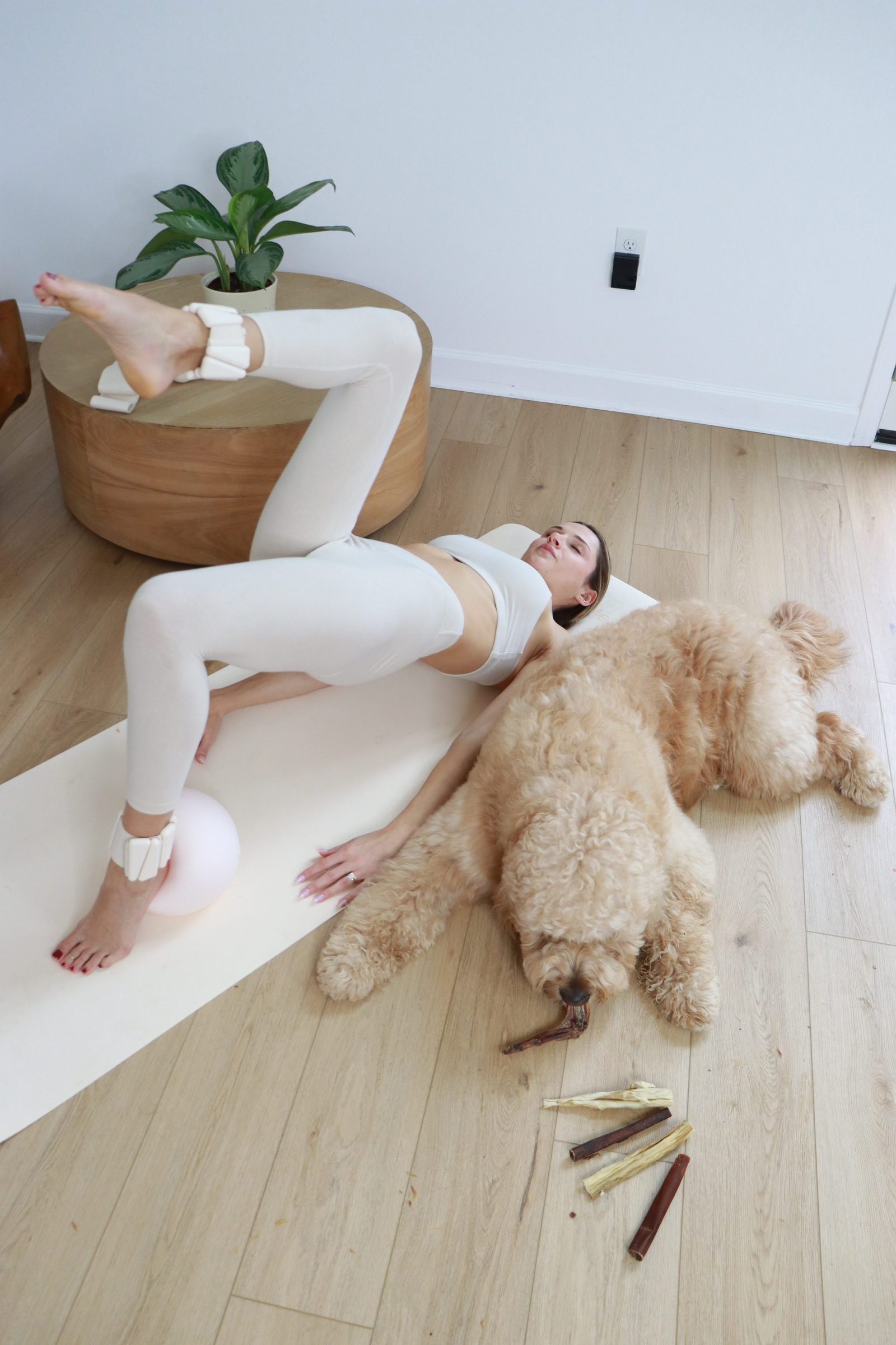Goldendoodle resting beside duck necks during pilates