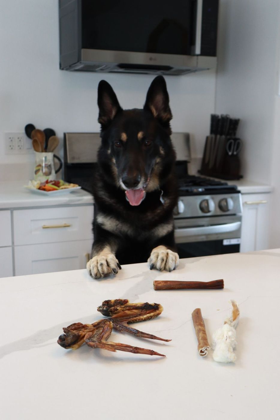 a dog waiting at the kitchen counter beside single-ingredient navan chews