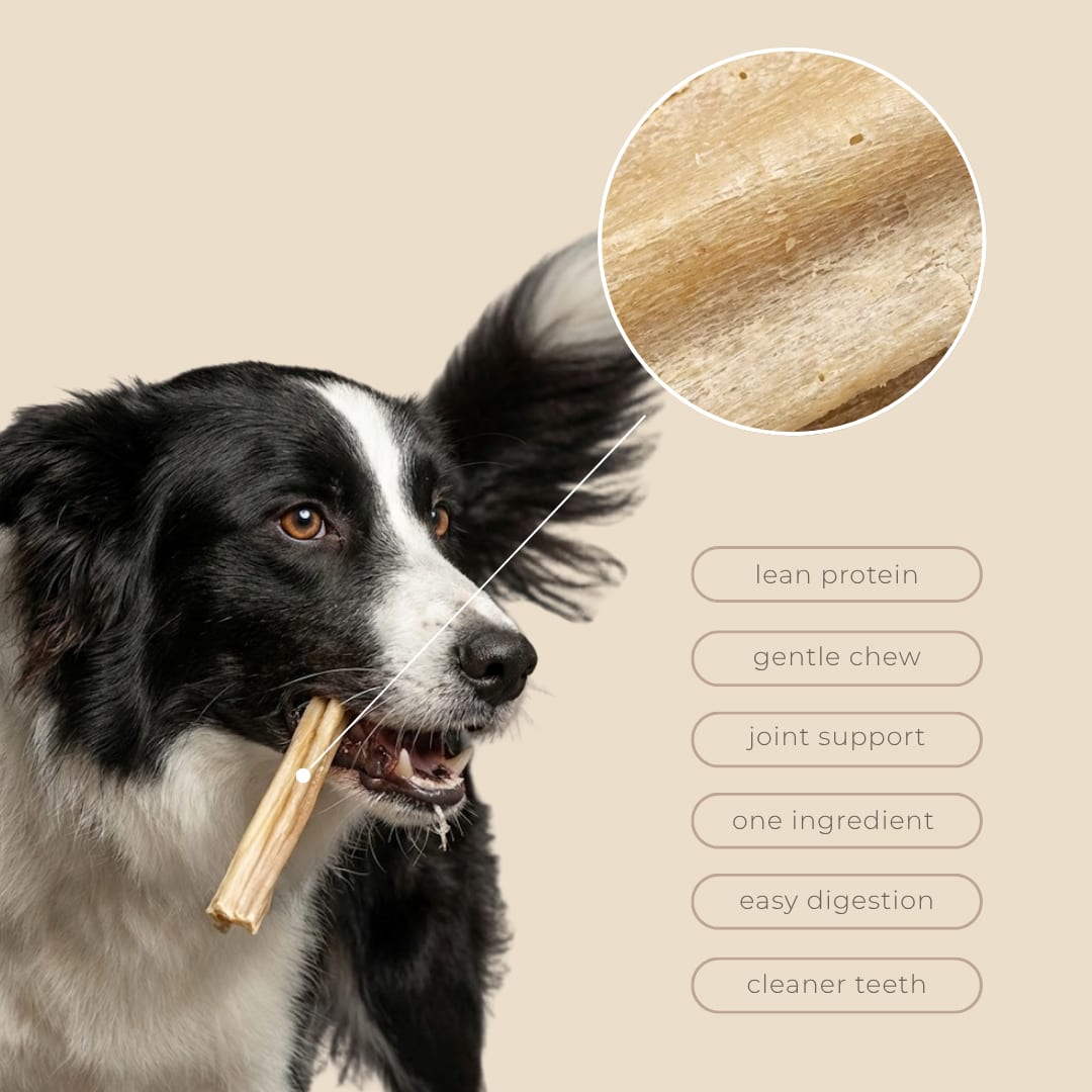 navan rabbit stick product photo